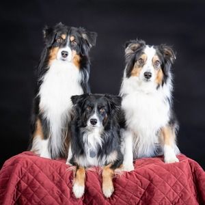 Meet your Posher, Pam